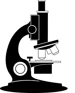 241x300 Light Microscopy Clipart Labeled For Kid