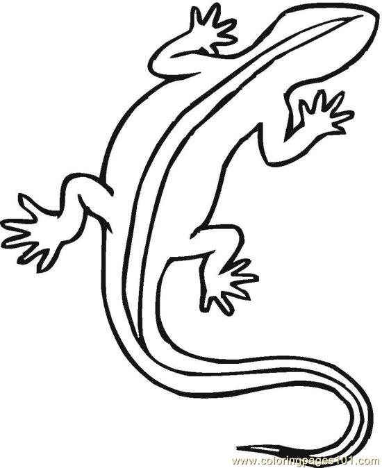 550x674 Pin Reptiles Coloring Pictures School Projects