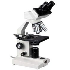 236x236 Binocular Microscope Clip Art Cliparts