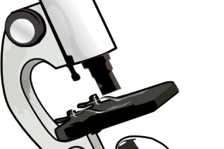 450x300 Microscope Clip Art Transparent