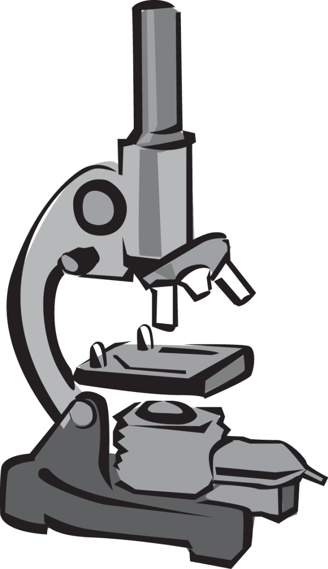 640x1109 Microscope Clipart