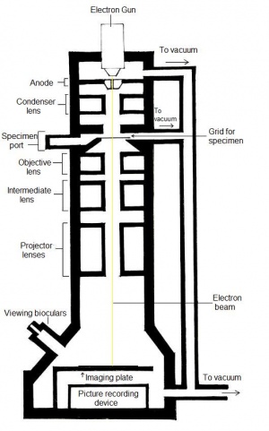 300x481 Group 5 Project