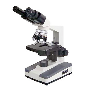 300x300 Light Microscopy Clipart Compound Microscope