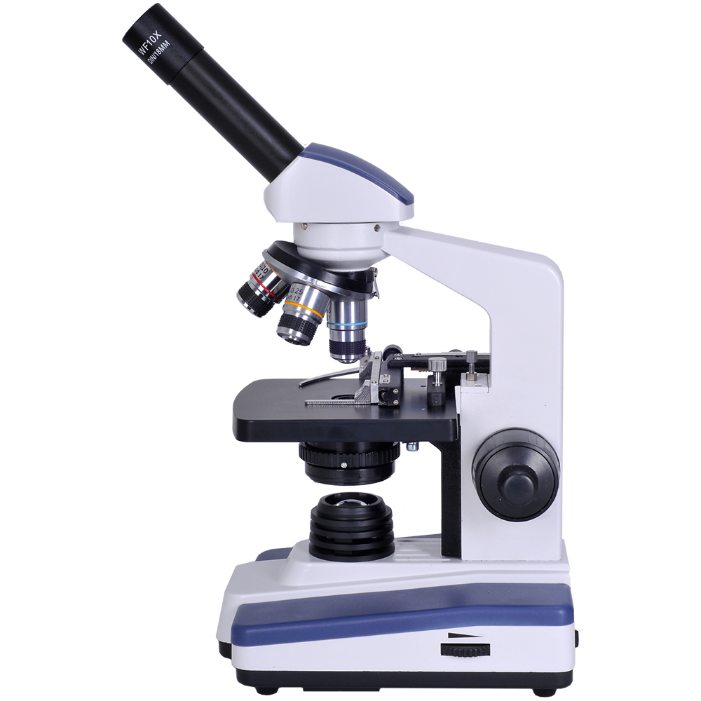 1000x1000 Light Microscopy Clipart Monocular