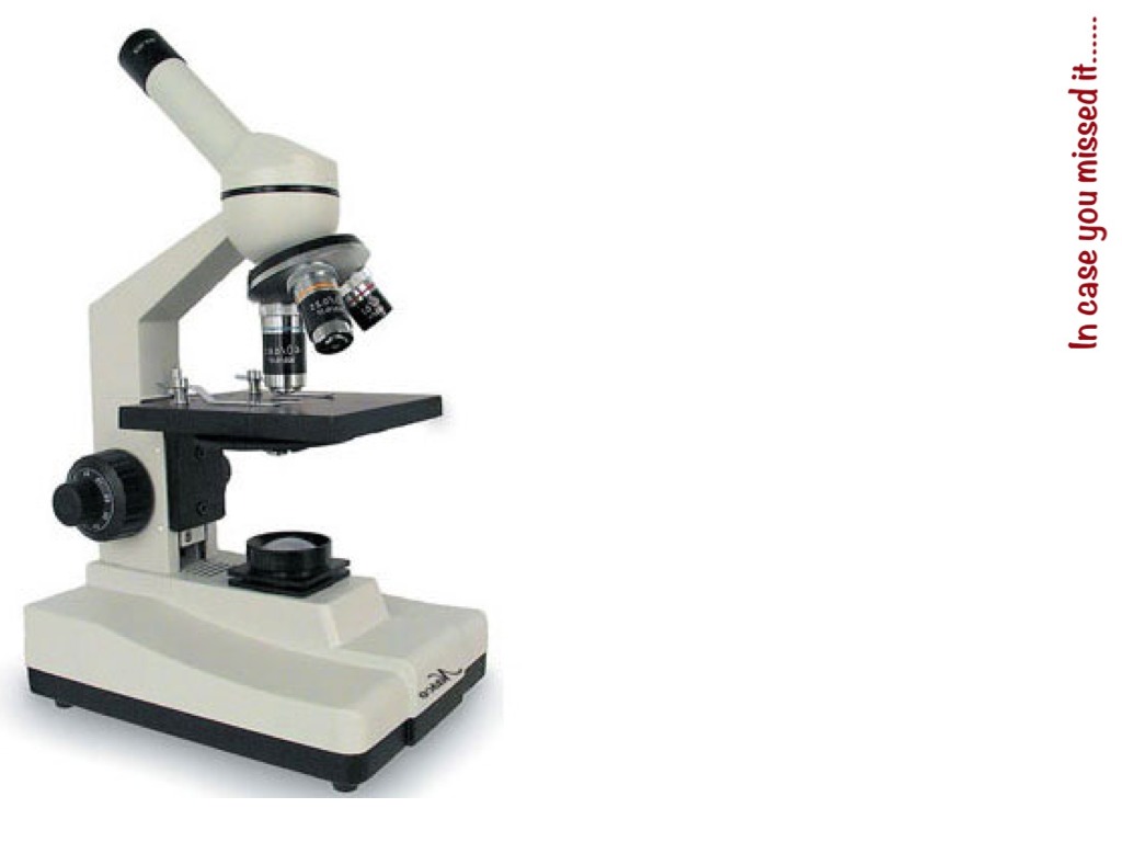 1024x768 Microscope Drawing Worksheet Clipart Panda