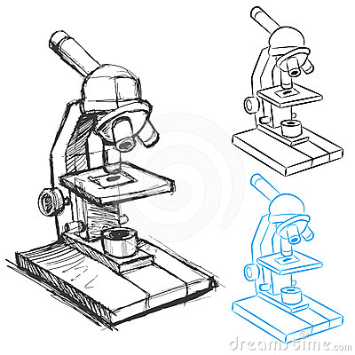 400x400 Microscope Slide Drawing Clipart Panda