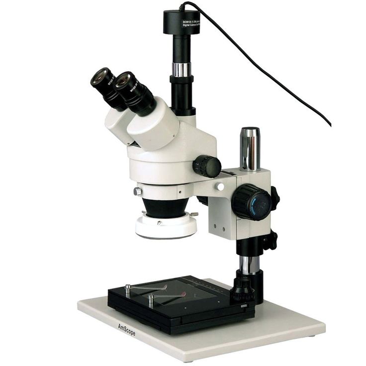 736x736 Best Digital Microscope Camera Ideas Jet