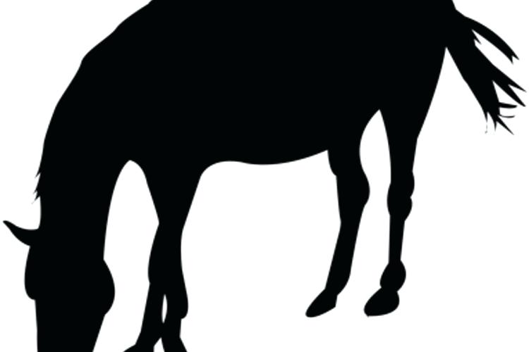 750x500 Ms Clipart Ms Office Free Ms Clip Art Borders Memocards.co