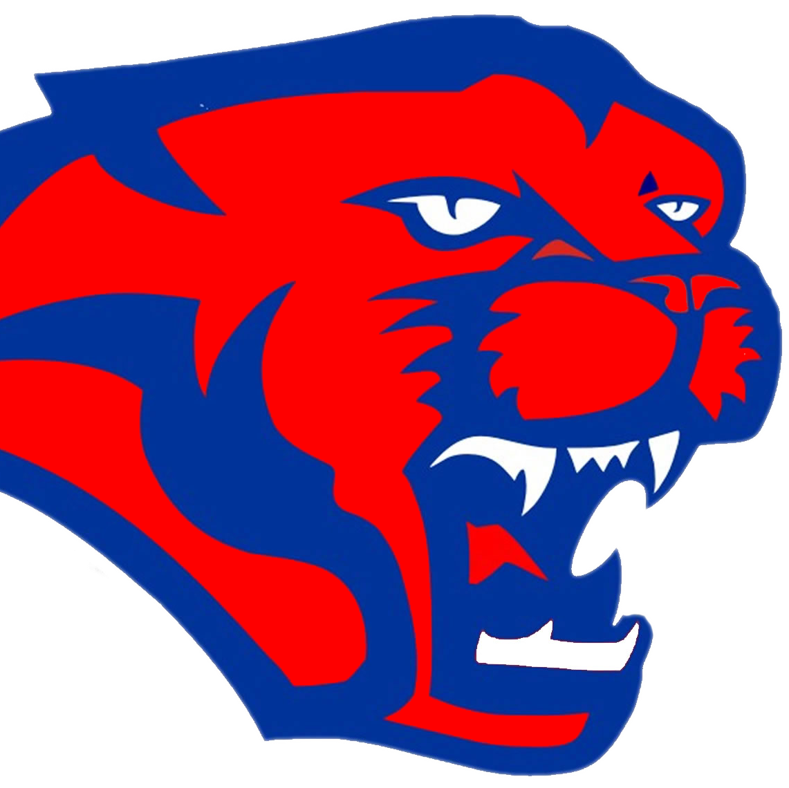 1141x1140 Irons Middle School (@ironscougars) Twitter