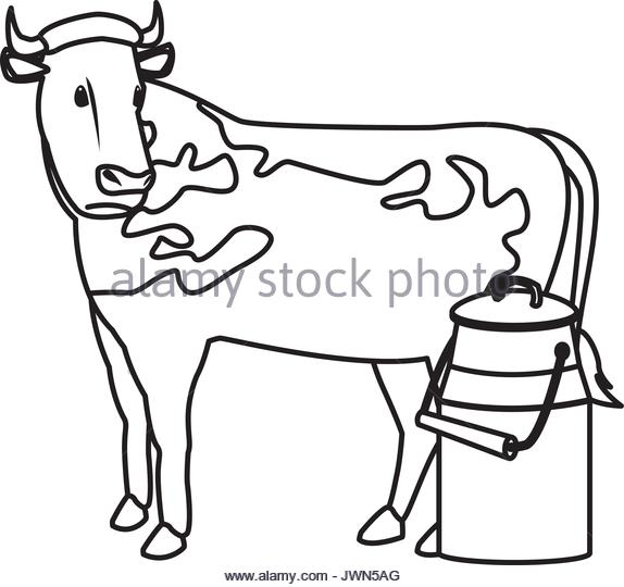 574x540 Milk Can Black And White Stock Photos Amp Images