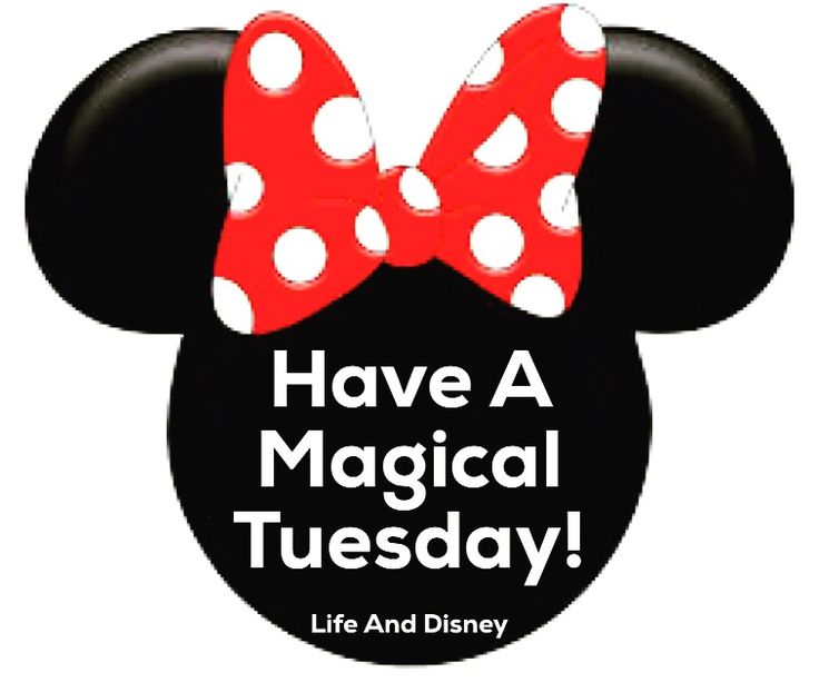 736x622 14 Best Cip Si Dale Images Chips, Cartoons And Draw