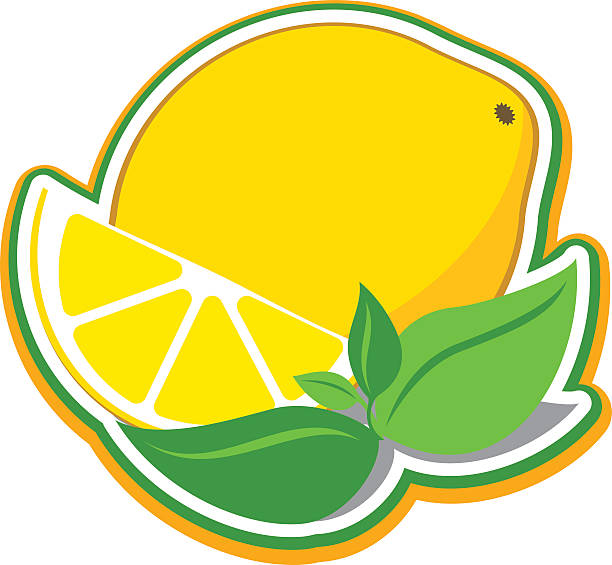 612x565 Mint Lemon Clipart, Explore Pictures
