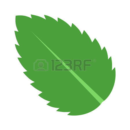 450x450 Icons For Mint Leaf Icons
