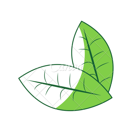 550x550 Blueberries And Mint Leaves