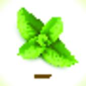 170x170 Mint Leaf Clip Art