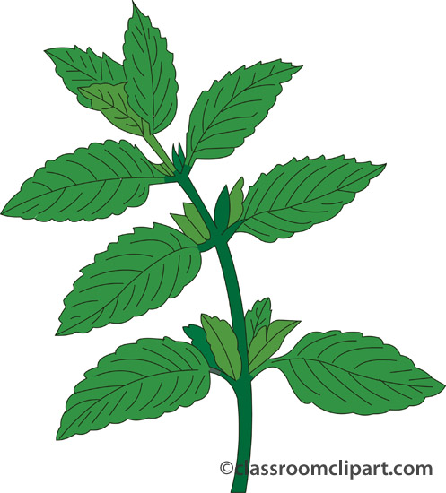 497x550 Mint Clipart Peppermint