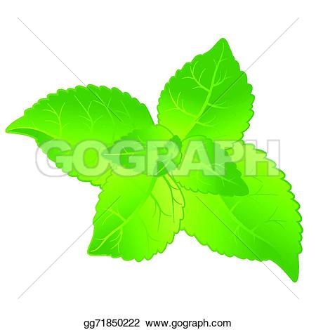 450x470 Mint Grass Clipart