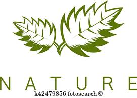 271x194 Mint Leaves Clipart And Illustration. 2,992 Mint Leaves Clip Art