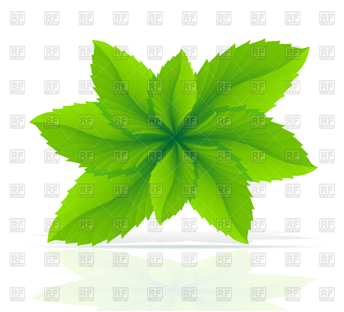 1200x1086 Mint Leaves Royalty Free Vector Clip Art Image