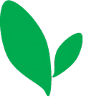 400x400 Mintleaf Studio (@mintleafstudio) Twitter