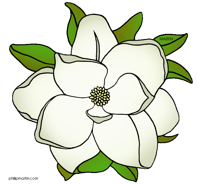 648x603 Top 97 Magnolia Flower Clipart