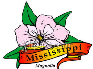 300x224 Top 97 Magnolia Flower Clipart