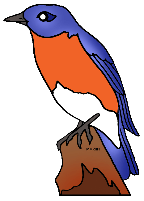 466x648 United States Clip Art By Phillip Martin, Missouri State Bird