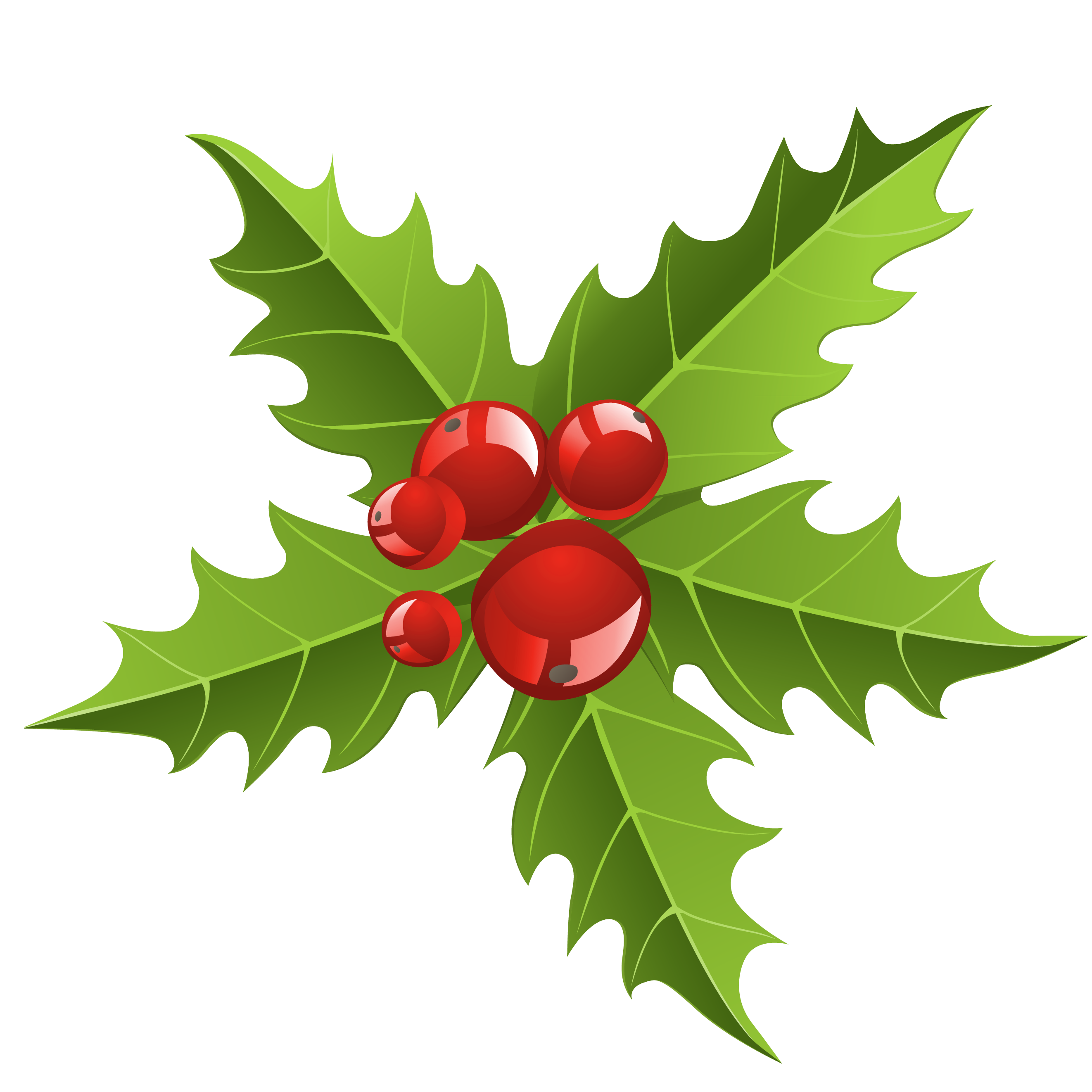 2644x2644 Mistletoe Clip Art 2