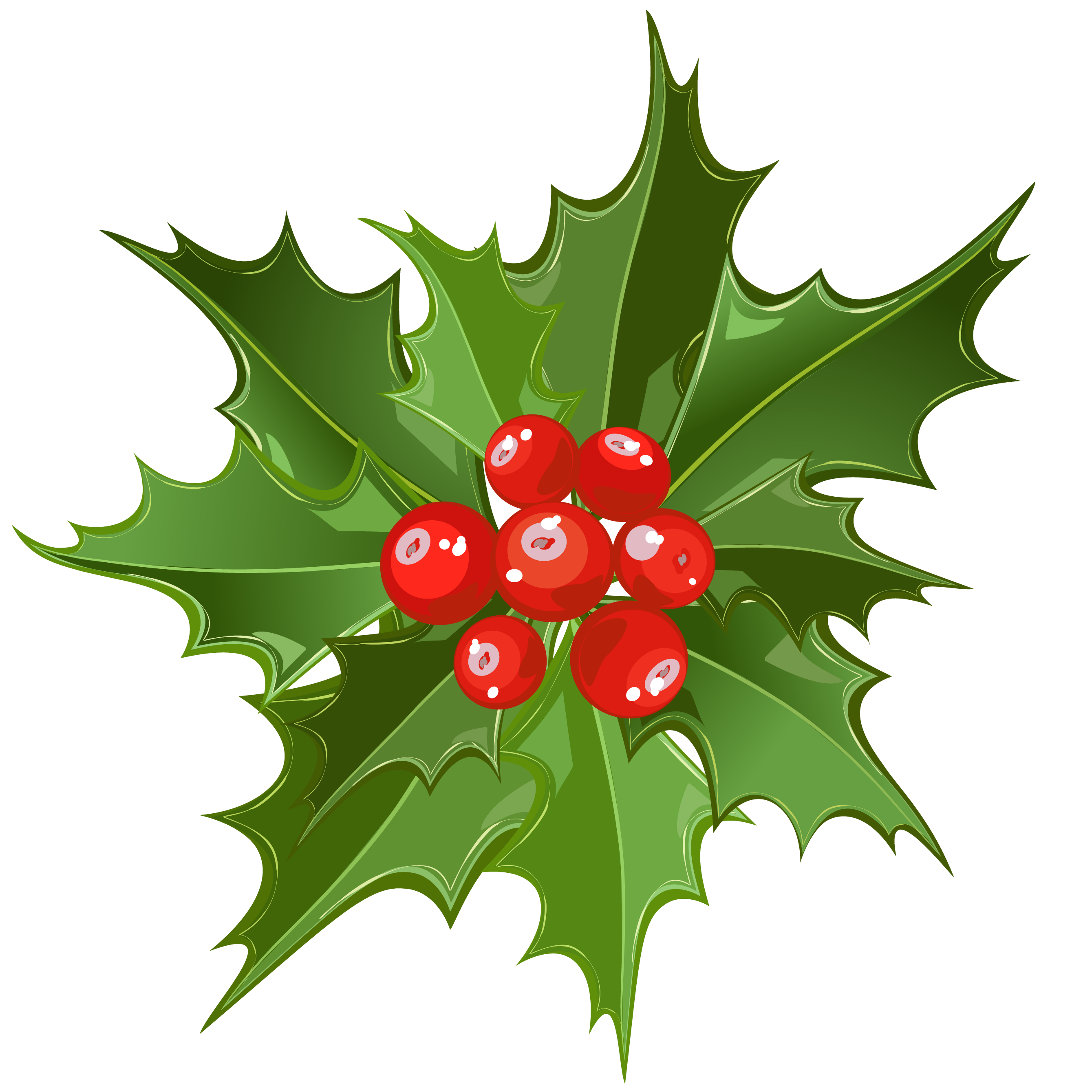 2679x2680 Christmas Mistletoe Png Artu200b Gallery Yopriceville