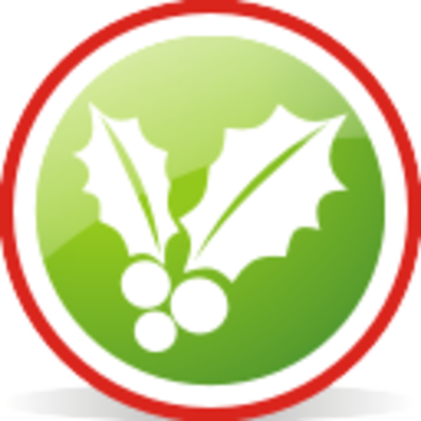600x600 Christmas Mistletoe Rounded Free Images