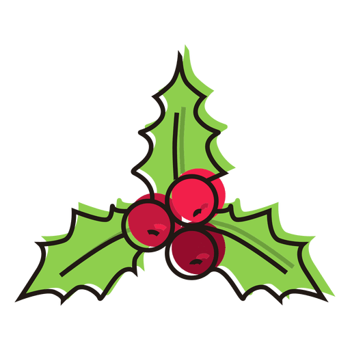512x512 Mistletoe Cartoon Icon 20