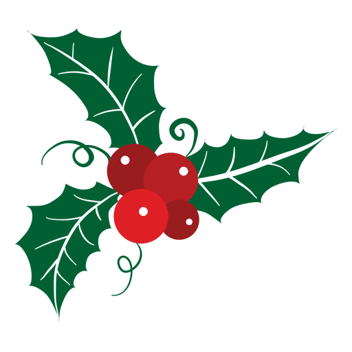 512x512 Mistletoe Icon 18