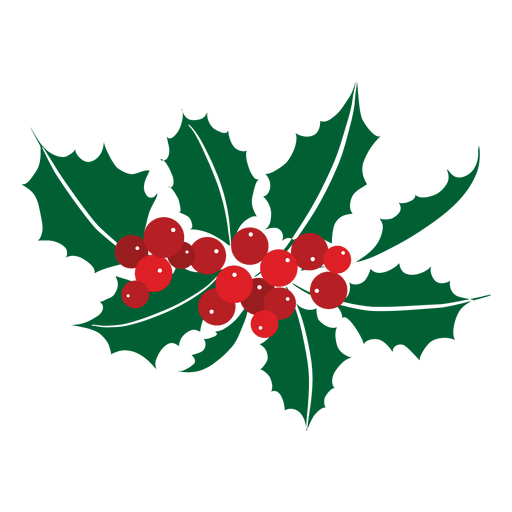512x512 Mistletoe Icon 24