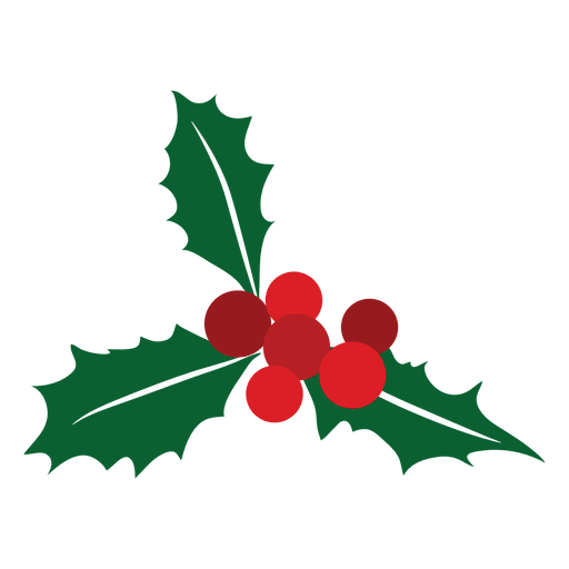 512x512 Mistletoe Icon 34