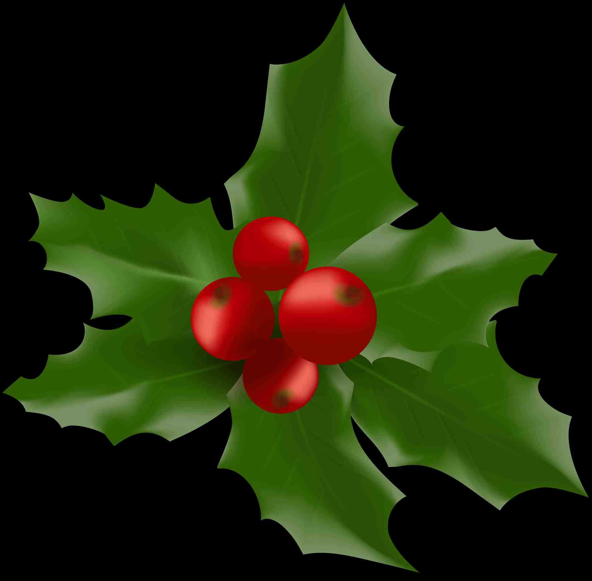 1899x1865 Christmas Mistletoe Clipart Cheminee.website