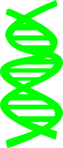 252x591 Dna Clip Art