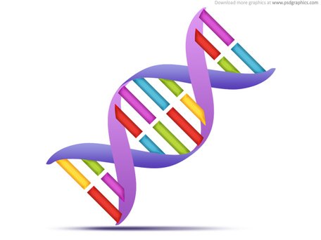 456x342 Dna Clipart