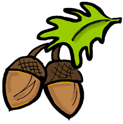 250x252 Acorn Clipart
