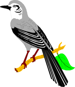 258x298 Mockingbird Clip Art