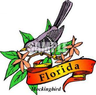 330x327 The Many Throated Mimic