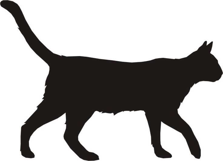 736x531 Top 10 Cat Silhouette Clip Art