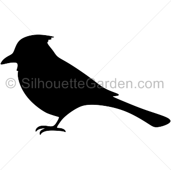 336x334 Top 91 Blue Jay Clip Art