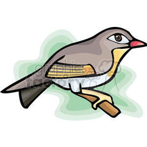 300x300 Top 95 Nightingale Clip Art