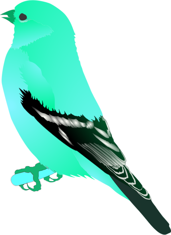 600x823 Blue Green Mockingbird Clipart