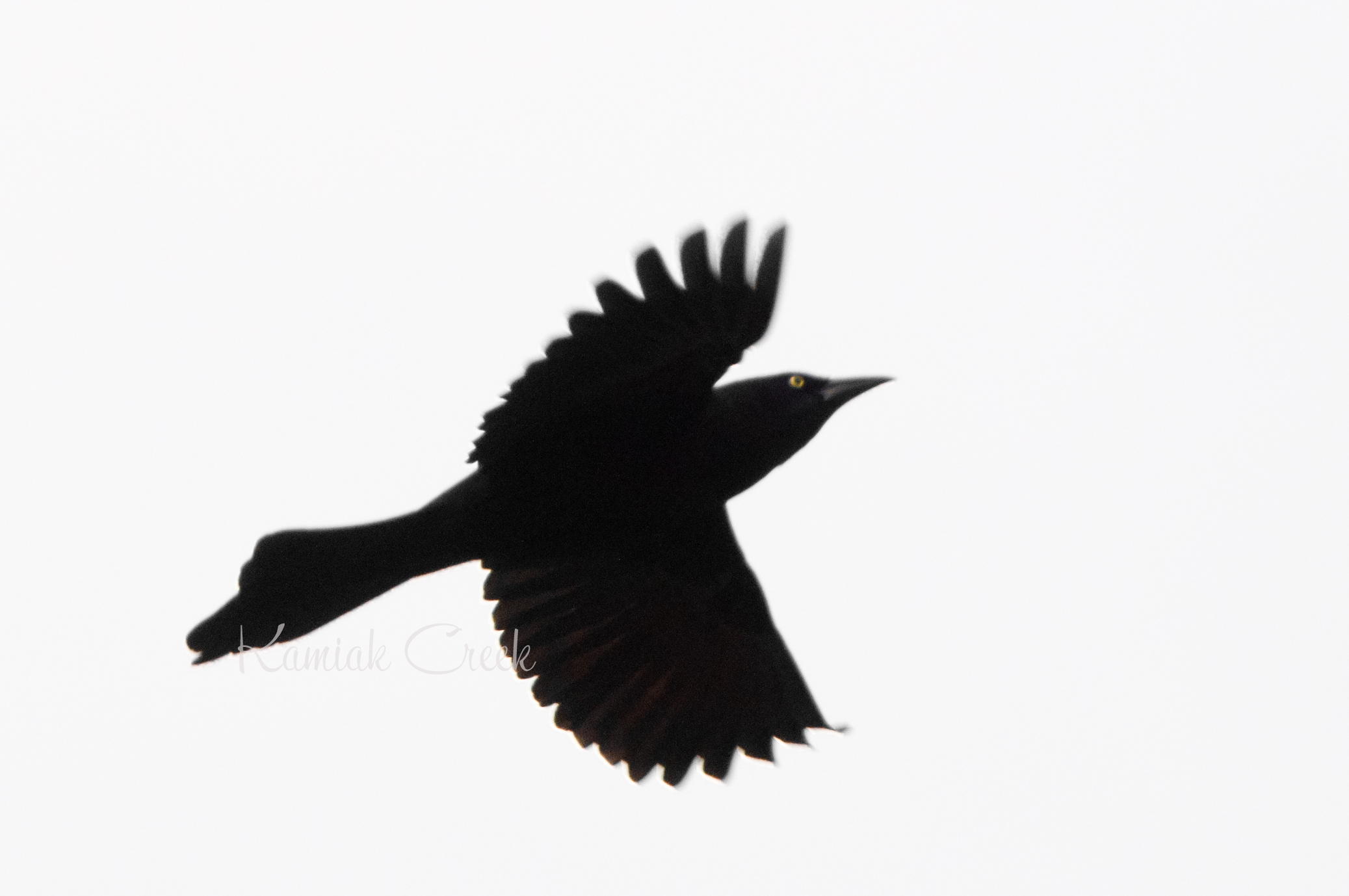 2075x1378 Fart Clipart