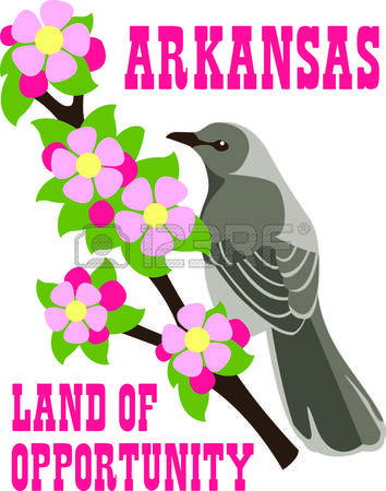 354x450 Mockingbird Clipart Big Bird
