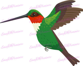 340x270 Mockingbird Clipart Hummingbird