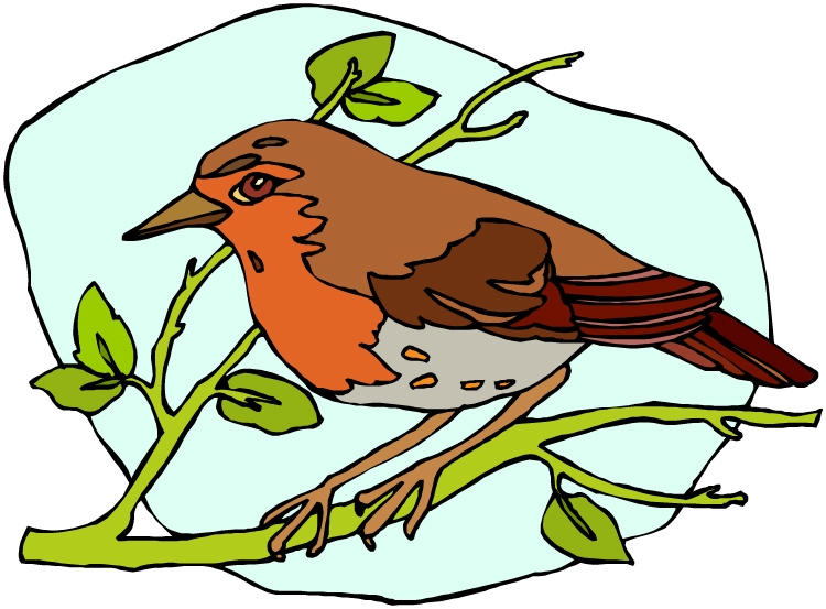 750x553 Mockingbird Clipart Robin