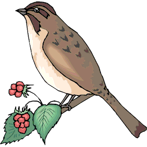 300x300 Mockingbird Clipart Sparrow