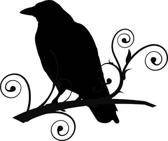 564x472 Raven Clipart Mockingbird